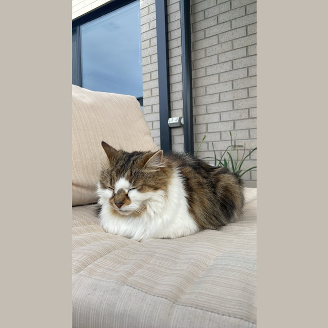 Photo of Hazel