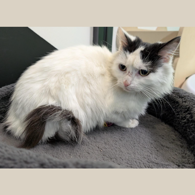 Photo of Sunday Market