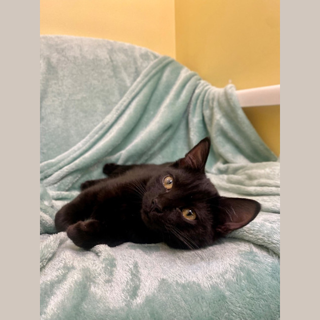 Photo of Rosie