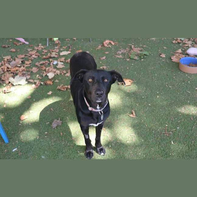 Photo of Maggie Mae