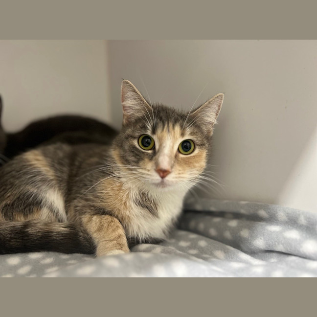 Photo of Mimi