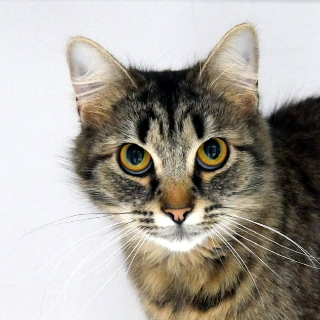 Photo of Tiggy Sua015607