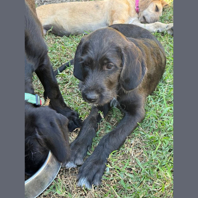 Photo of Buffy