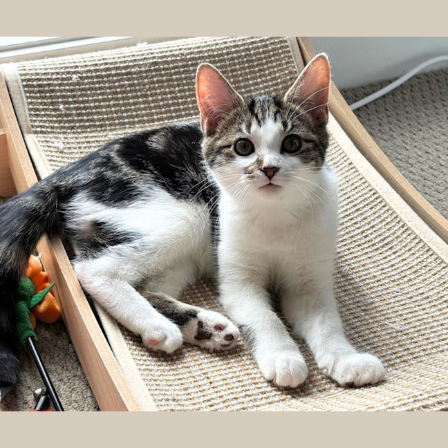 Photo of Mia