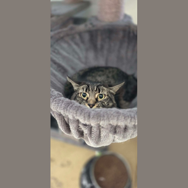 Photo of Mia