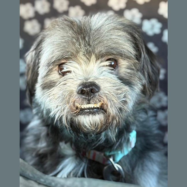 Photo of Billy