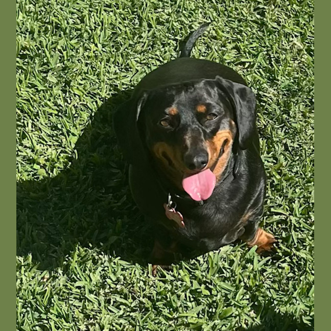 Photo of Bonni