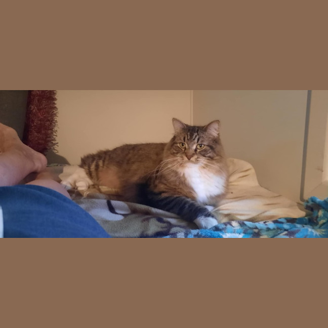 Photo of Milo & Otis