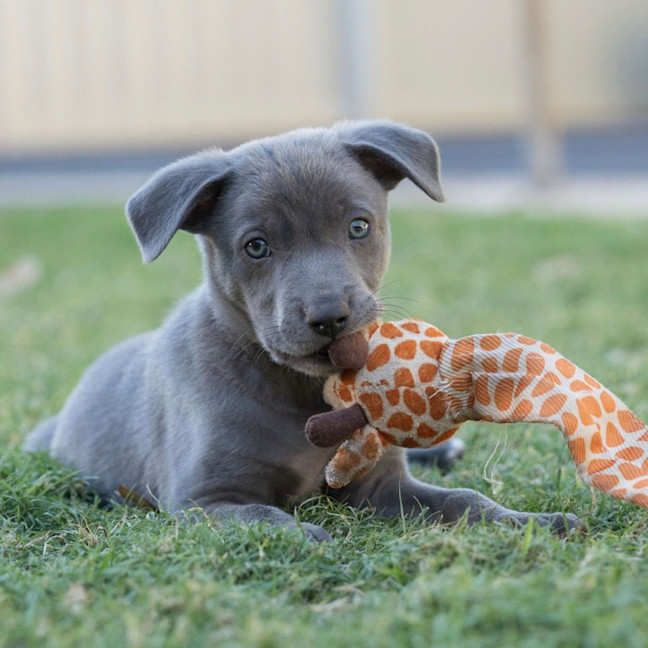 Photo of Storm