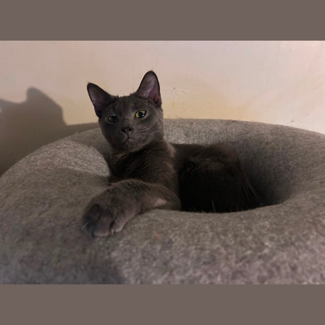 Photo of Maverick 