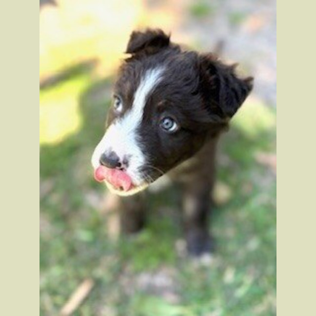 Photo of Ted