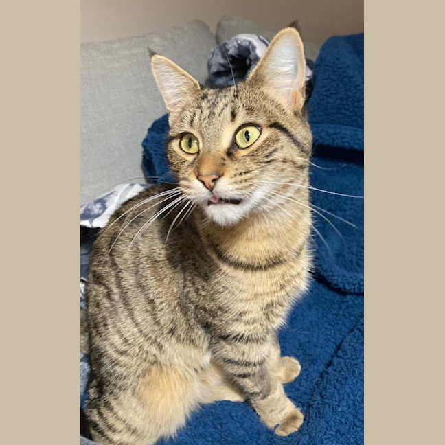 Photo of Mavis