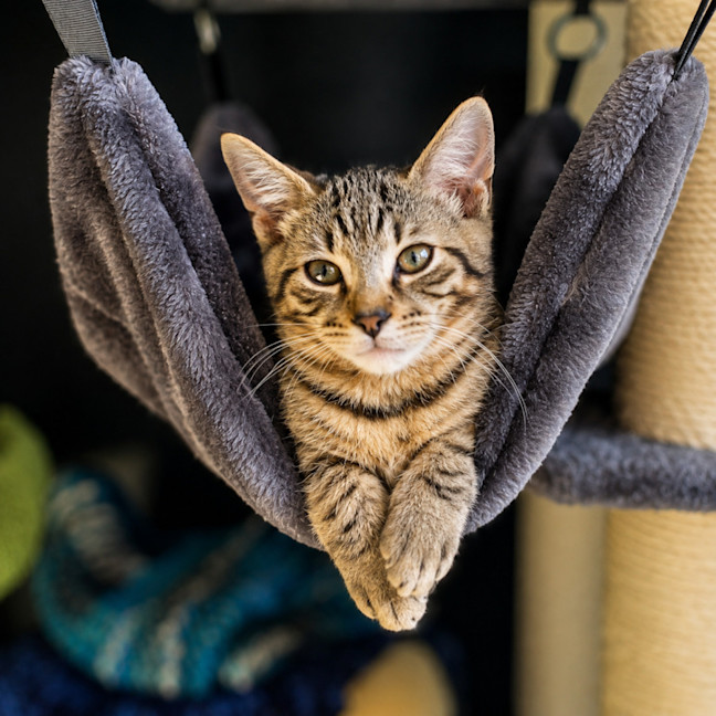Photo of Finley
