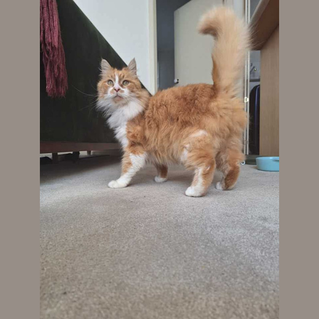 Photo of 😻 Eugene (Gene) 