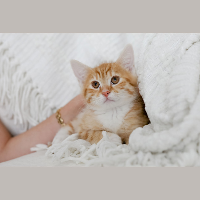 Photo of Dex