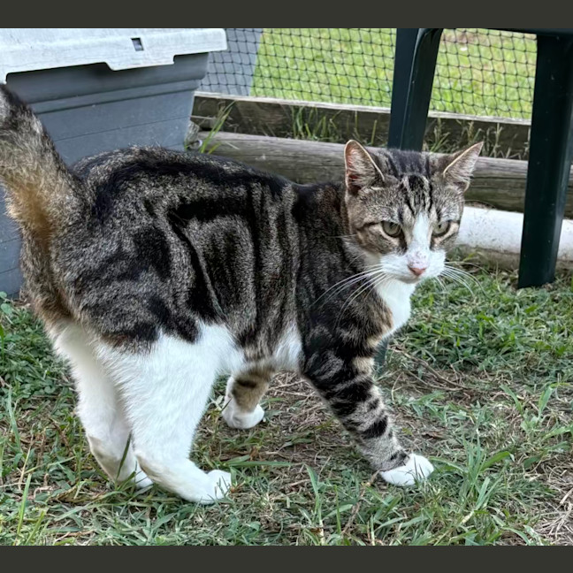 Photo of Apollo And Artemis