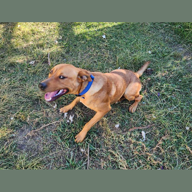Photo of Buster