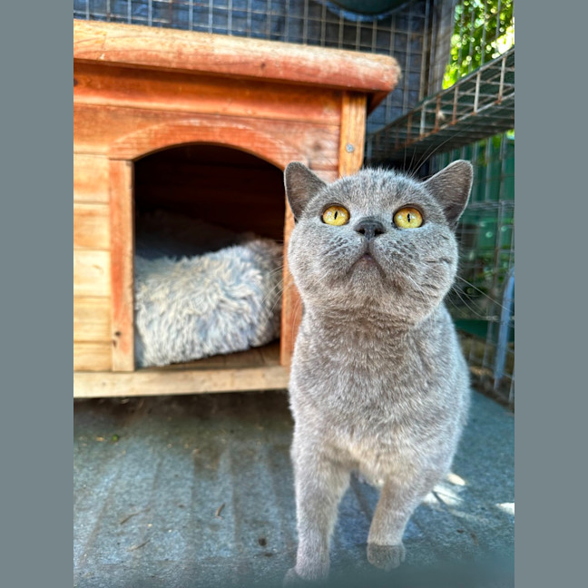 Photo of Fafa And Britt