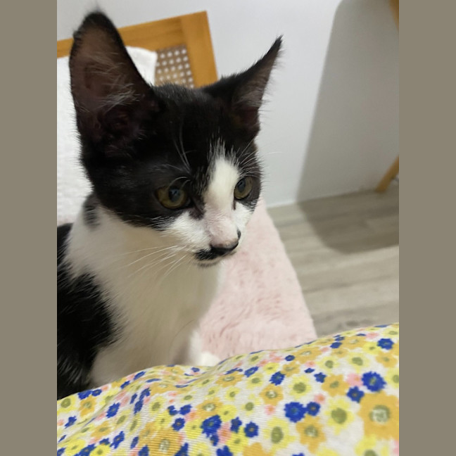 Photo of Milly