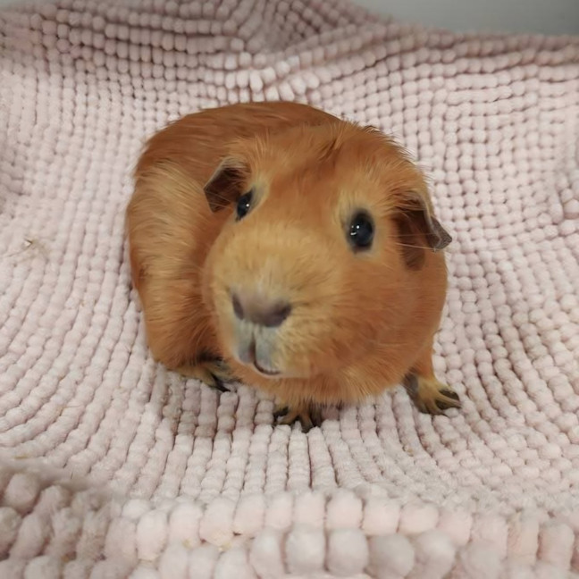 Photo of Barry