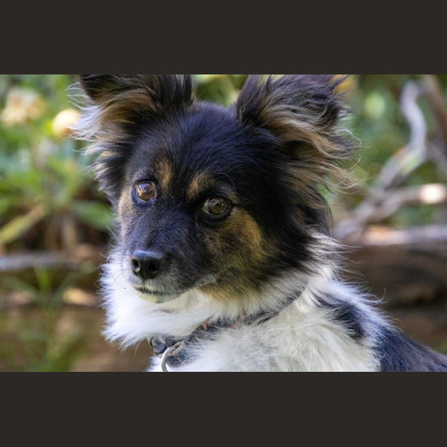 Photo of Betsy Moriarty