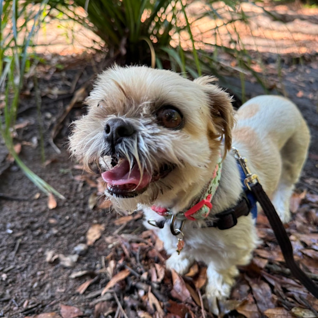 Photo of Ella And Blaze 