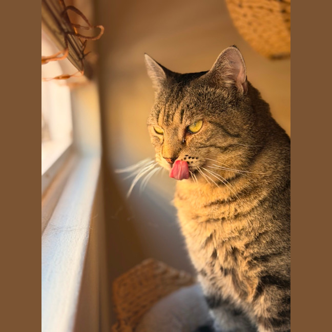 Photo of Tom