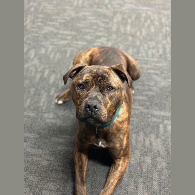 Photo of Ralphy Aka Wreck It Ralph