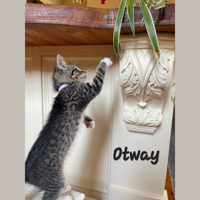 Photo of Otway