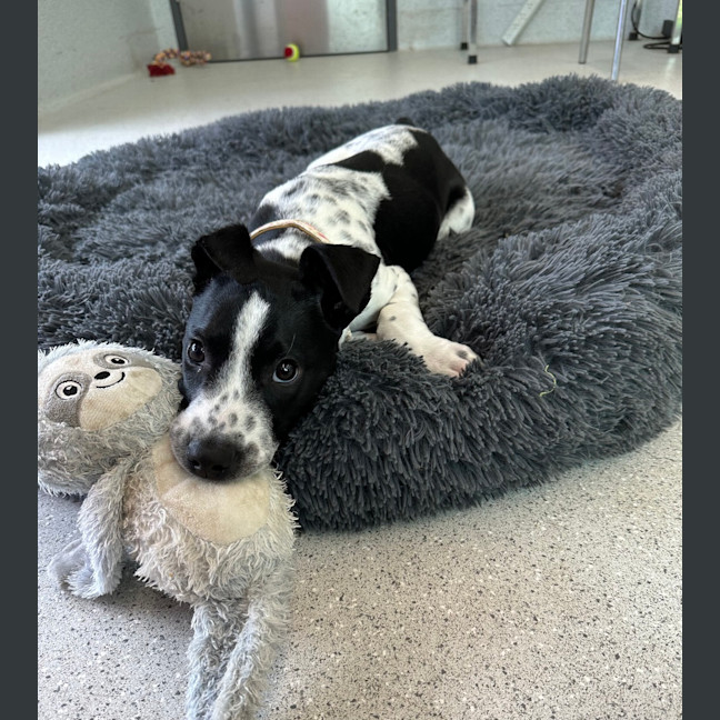 Photo of Tex