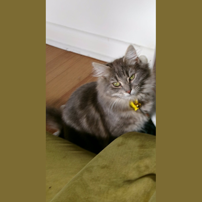 Photo of Matilda