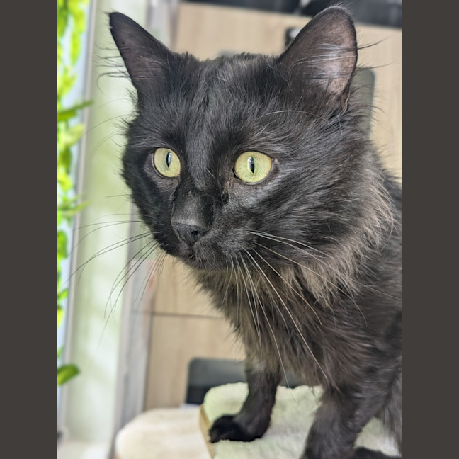 Photo of 🤴 Prince 5738 🤴