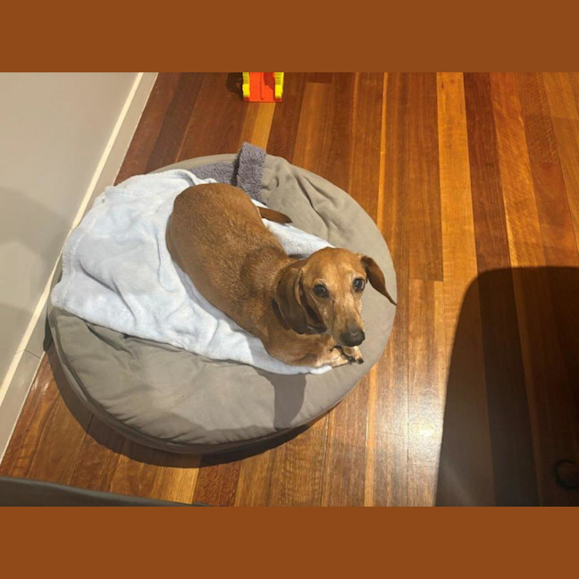 Photo of Hans Russelton