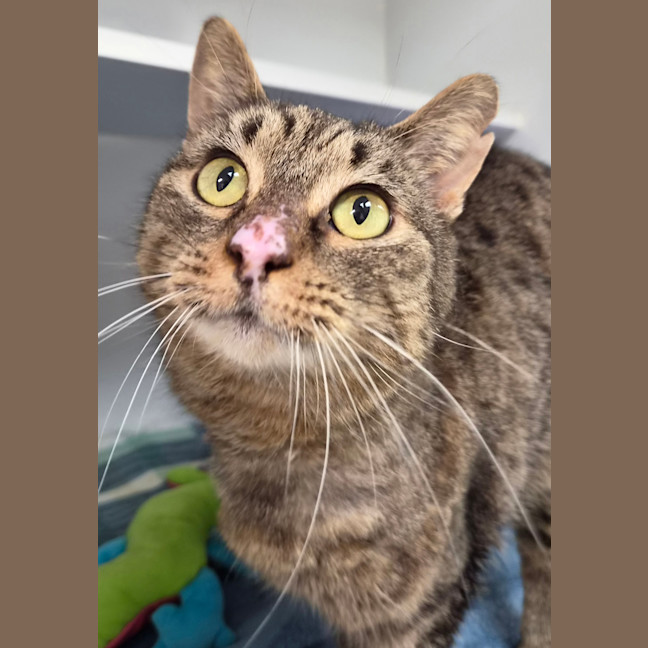 Photo of Mrs. Scraps