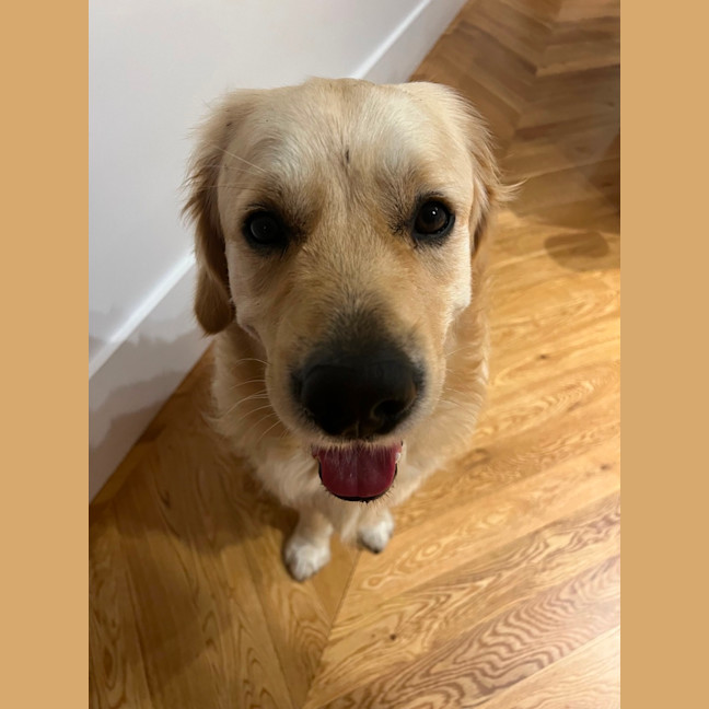 Photo of Digger