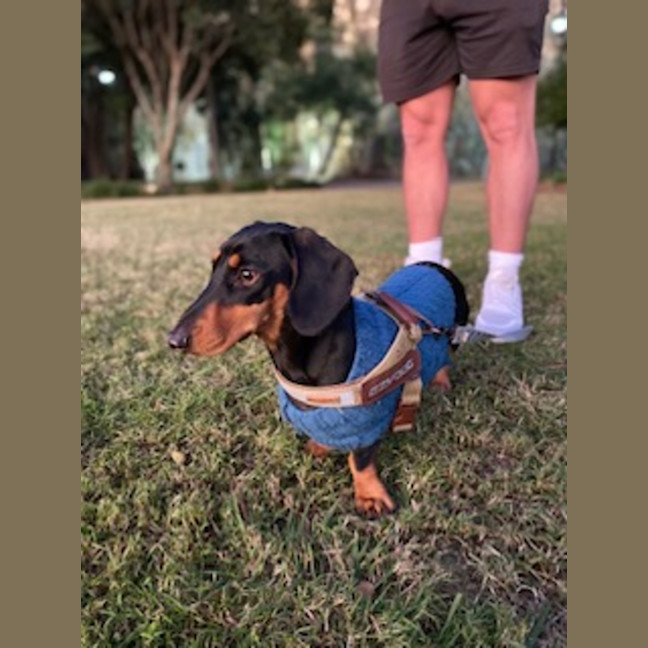 Photo of Peanut