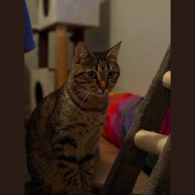 Photo of Charlie 