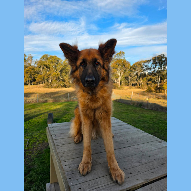Photo of Otto