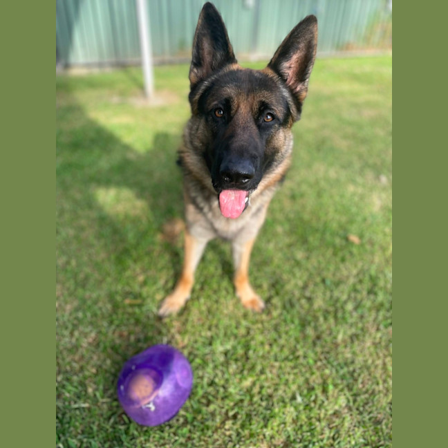 Photo of Oscar Brown