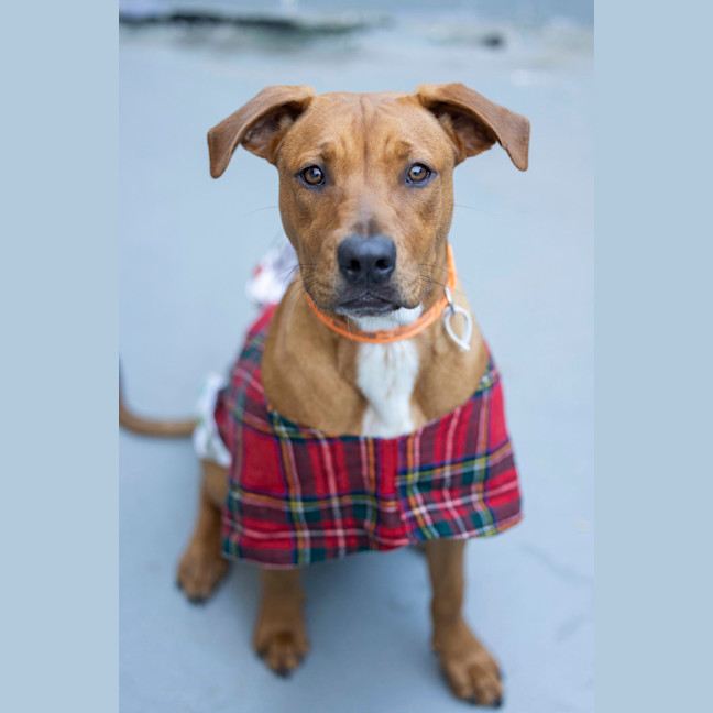 Photo of Penny