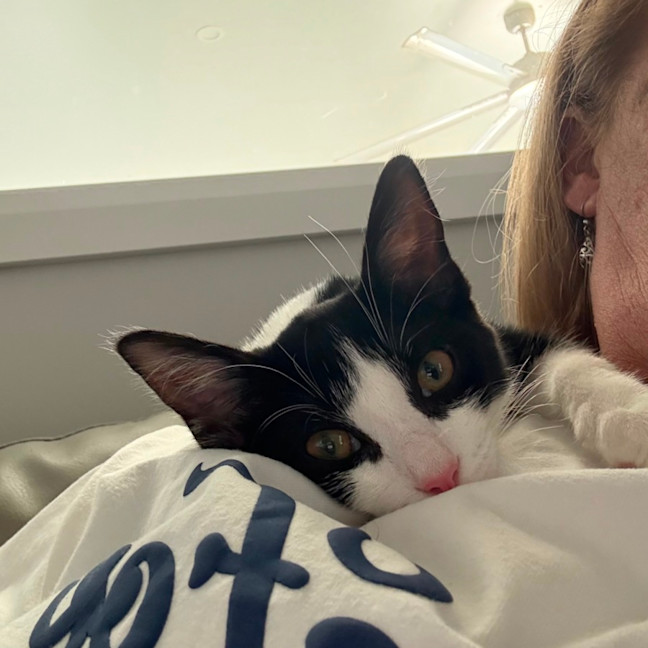 Photo of Pebbles 🥰🍒🥰