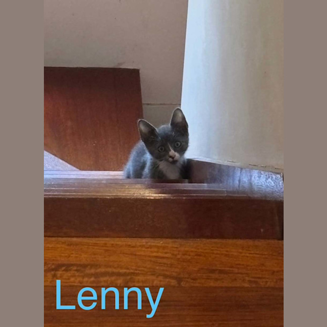 Photo of Lenny ❤️
