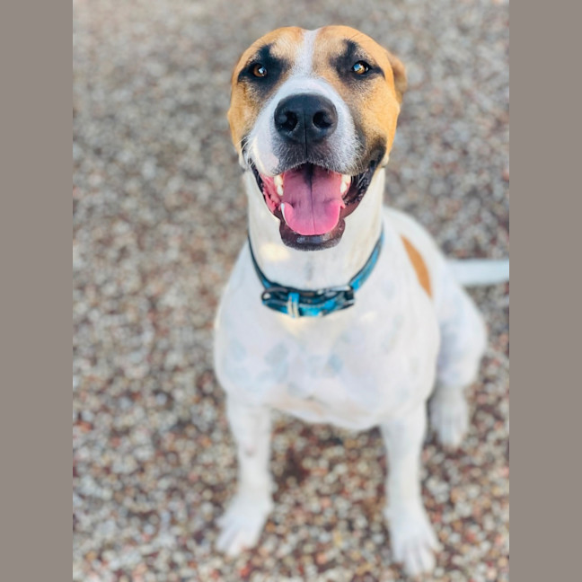Photo of Patch