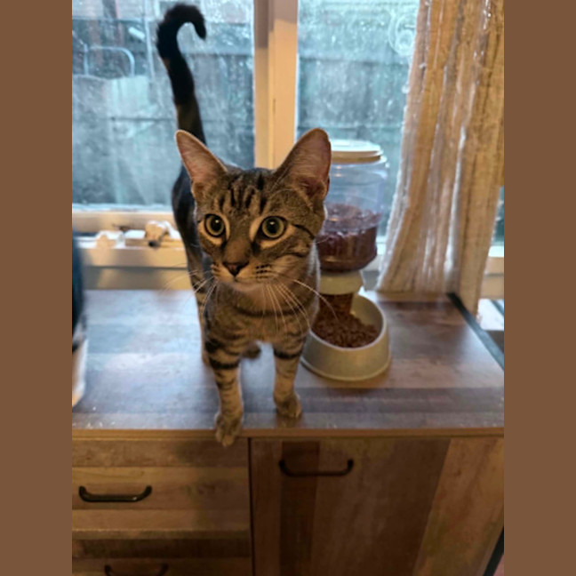 Photo of Zeus