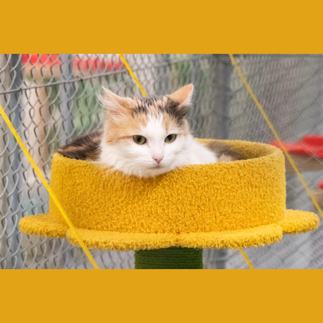 Photo of Ruth Russelton