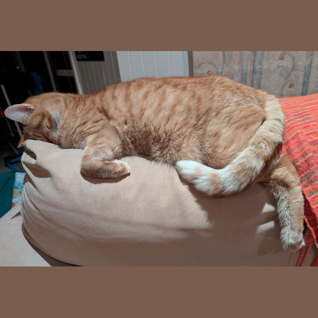 Photo of Jasper