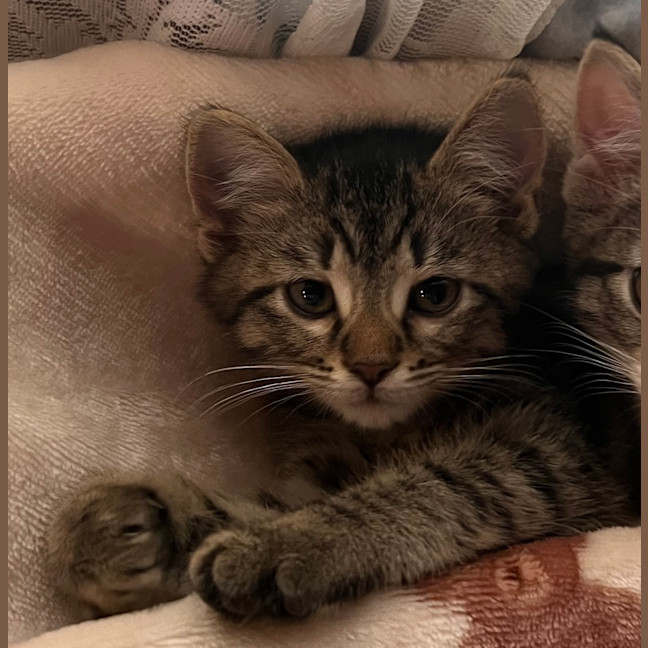 Photo of Theo