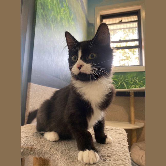 Photo of Bashar Tarr