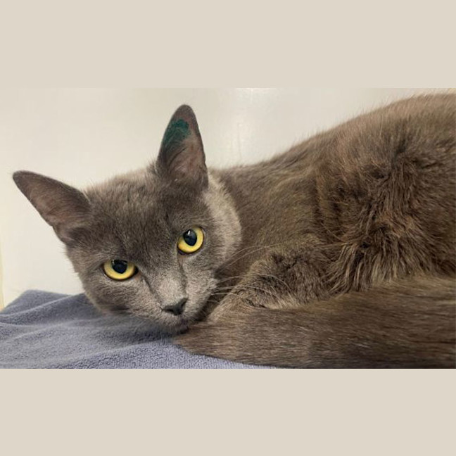 Photo of Ethel