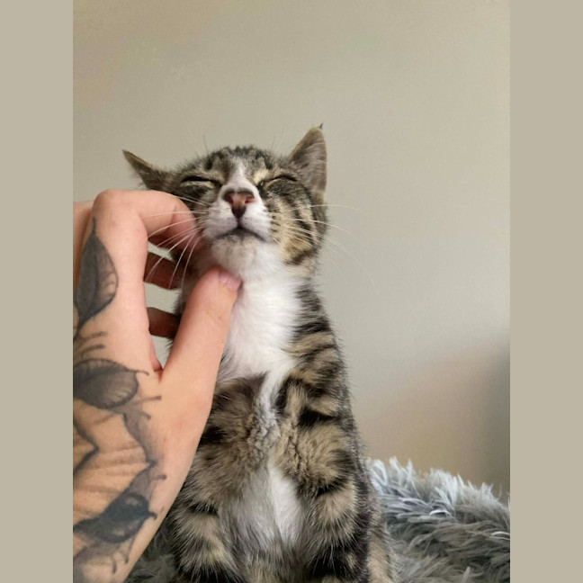 Photo of Your Uncle Kevin